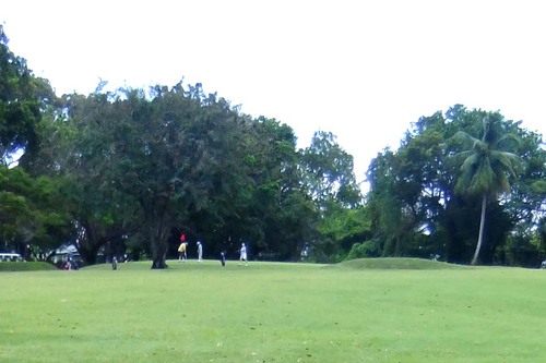 eighth green