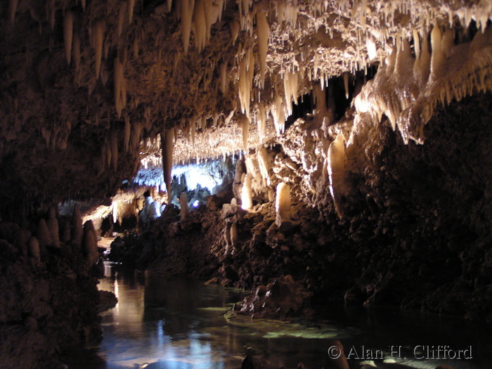 Harrison&rsquo;s Cave.