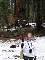 On Congress trail