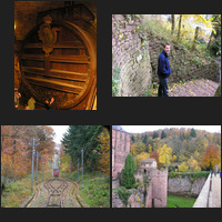 image montage