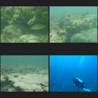 image montage