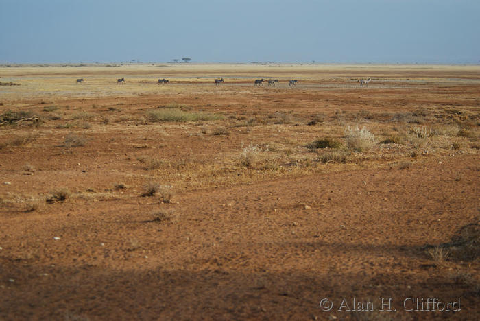 dsc_1358.jpg