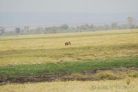 dsc_1522.jpg