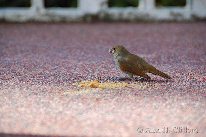 dsc_4816.jpg
