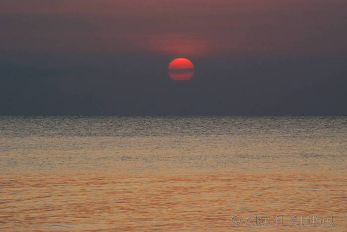 dsc_4589_3.jpg