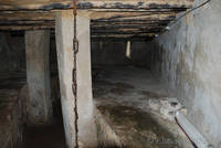 dsc_4491.jpg