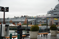 Intrepid