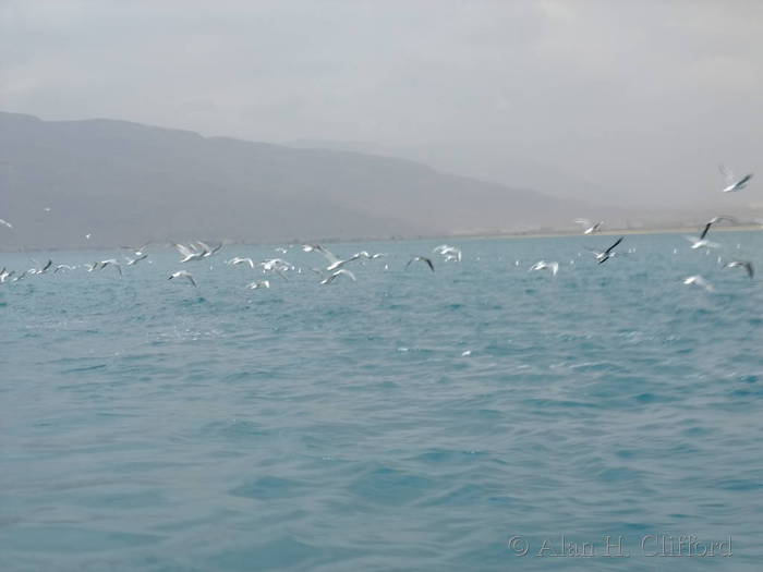 dscf1465.jpg