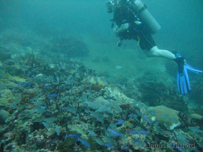 dscf1494.jpg
