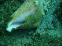 dscf1521.jpg