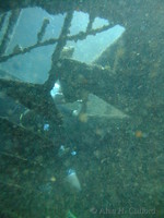 dscf1986.jpg