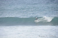 ahc_2516.jpg