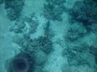dscf1878.jpg