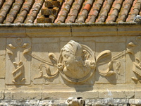 x-s1_2989.jpg