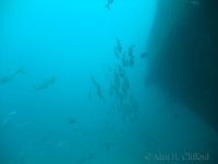 f200_3688.jpg